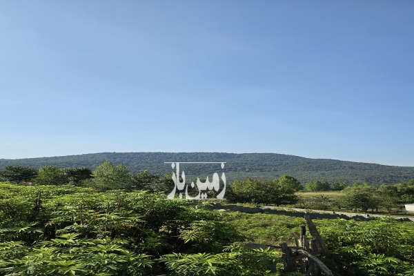 زمین مسکونی واقع در زیرآب روستای لاجیم ۳۷۲ متر-3
