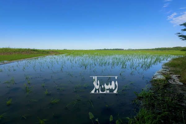 زمین کشاورزی واقع در محمودآباد روستای بونده ۶۰۰۰ متر-2