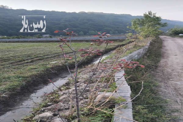 زمین درمنطقه خوش آب وهوا آمل جاده هراز ۲۰۰۰ متر-3