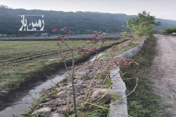 زمین درمنطقه خوش آب وهوا آمل جاده هراز ۲۰۰۰ متر - تصویر 3