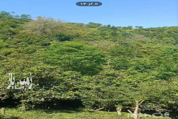 زمین با ویو عالی رحیم آباد اشکورات ۳۰۰ متر-1