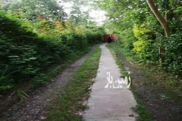زمین با جواز ساخت جمعه بازار روستای لادمخ ۲۶۲ متر - تصویر 3