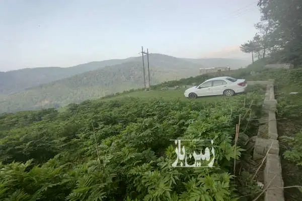 زمین ۲۰۰ متری در پل سفید روستای انارم - تصویر 3