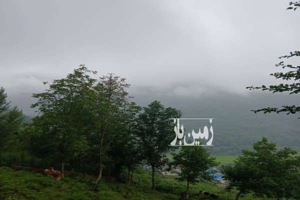 زمین مسکونی سوادکوه بالازیراب دوراهی کچمبور ۲۰۰ متر-1