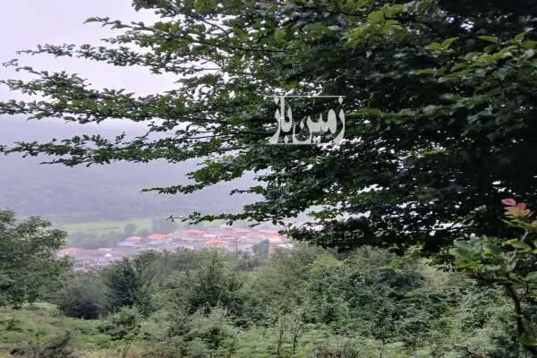 زمین مسکونی سوادکوه بالازیراب دوراهی کچمبور ۲۰۰ متر - تصویر 2