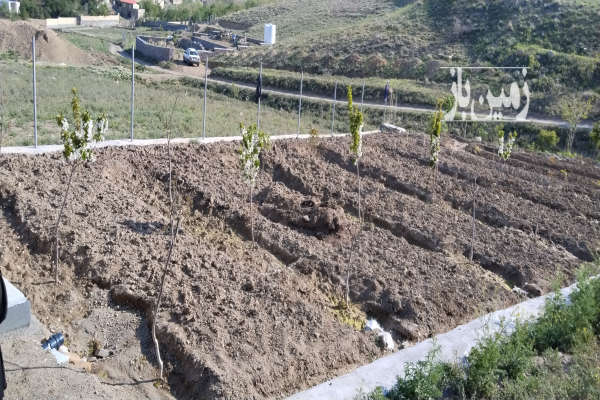 باغ با آب قنات قم شهر دستجرد روستای زیزگان ۵۰۰ متر-1
