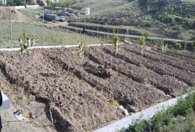 باغ با آب قنات قم شهر دستجرد روستای زیزگان ۵۰۰ متر