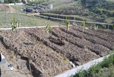 باغ با آب قنات قم شهر دستجرد روستای زیزگان ۵۰۰ متر