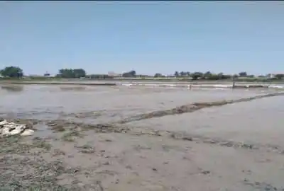 زمین در گرجی کلا ۴۲۰ متر