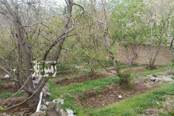 زمین و باغ در تهران شهران جاده سولقان ۶۰۰ متر-2