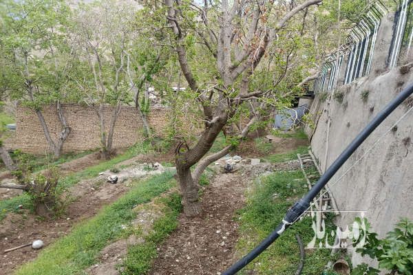 زمین و باغ در تهران شهران جاده سولقان ۶۰۰ متر-4