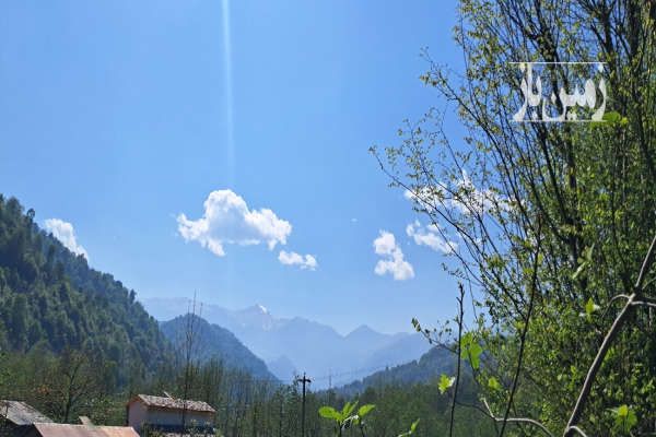 زمین مسکونی گیلان شهرستان شفت ۷۰۰ متر-2