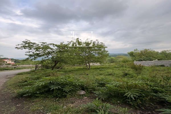 زمین جنگلی کوه پاییه ای روستای اسکلک ۴۷۰۰۰۰ متر-2