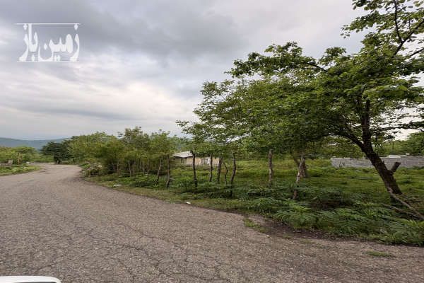 زمین جنگلی کوه پاییه ای روستای اسکلک ۴۷۰۰۰۰ متر-3