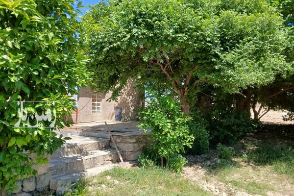 فروش زمین کشاورزی چاه ابی خانه باغ نورابادممسنی مورکی-3