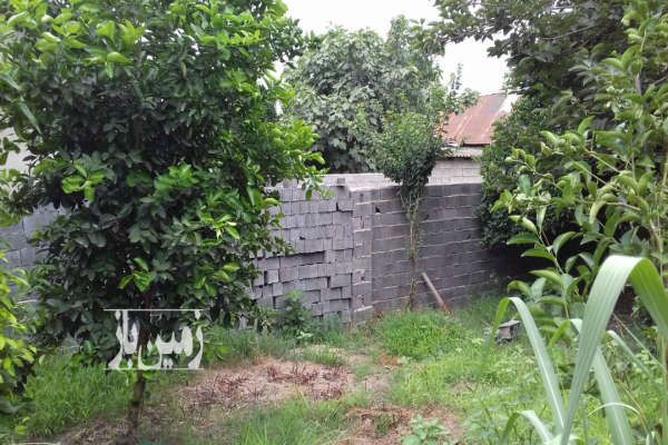 فروش زمین باغی مسکونی ۵۰۰ متری بابل روستای بالاگنج افروز-2
