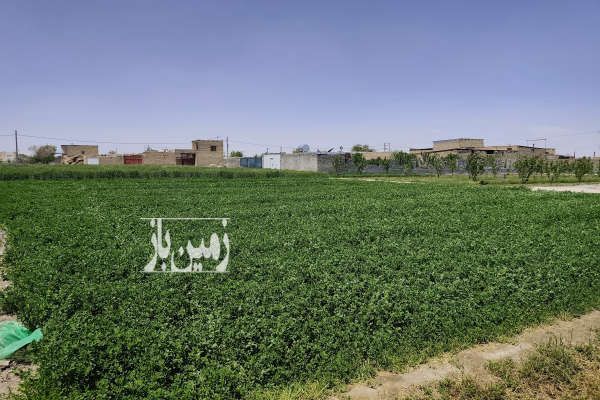 فروش زمین مناسب کشاورزی و باغ خوراسگان ۵۰۰ متر-2