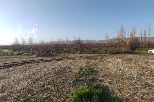 فروش زمین زراعی در یوسف آباد ۵۰۰۰ متر-1