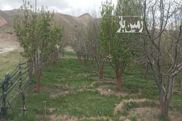 باغ خوش منظره نمرود ۱۲۵۰متر آب دائمی سند تک برگ-1