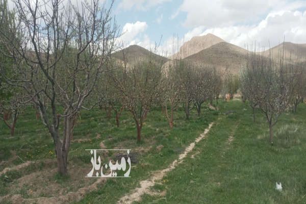 باغ خوش منظره نمرود ۱۲۵۰متر آب دائمی سند تک برگ-2