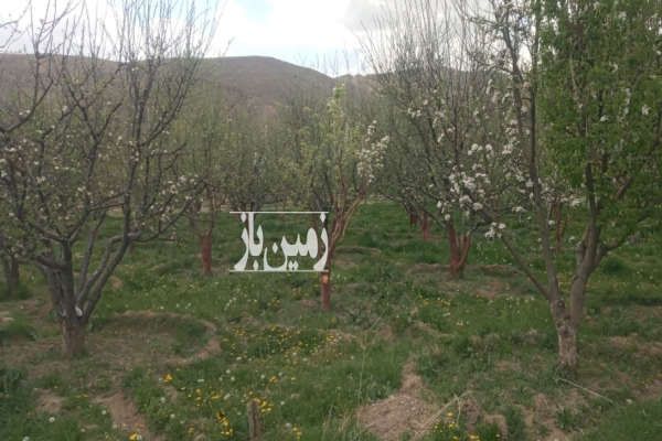 باغ خوش منظره نمرود ۱۲۵۰متر آب دائمی سند تک برگ-3