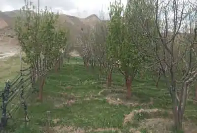 باغ خوش منظره نمرود ۱۲۵۰متر آب دائمی سند تک برگ