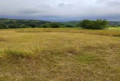 فروش زمین کشاورزی در روستای ریکنده ۴۵۰ متر