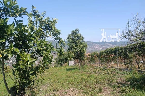 زمین در جاده گنج افروز منطقه بابلکنار روستای امیرکلا ۱۵۰۰ متر-2