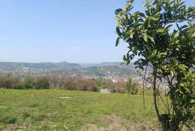 زمین در جاده گنج افروز منطقه بابلکنار روستای امیرکلا ۱۵۰۰ متر