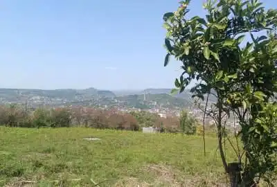 زمین در جاده گنج افروز منطقه بابلکنار روستای امیرکلا ۱۵۰۰ متر