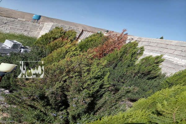 فروش باغ شهری دیوار کشی خالد آباد ۱۵ کیلومتری داریون ۱۰۰۰ متر-3