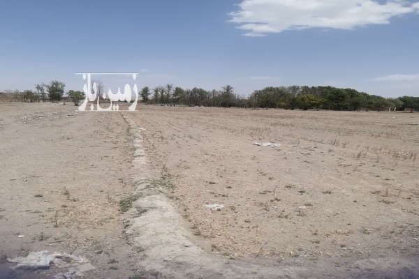زمین کشاورزی احمدآباد درچه ۴۰۰ متر-4