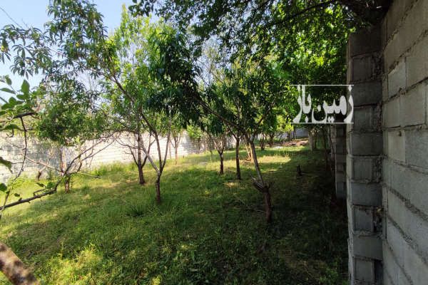 فروش زمین باغ ۵۳۰ متری در مازندران ساری-2