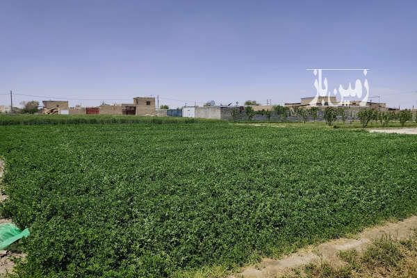 فروش زمین خوراسگان مناسب باغ کارگاه ۵۰۰ متر-2