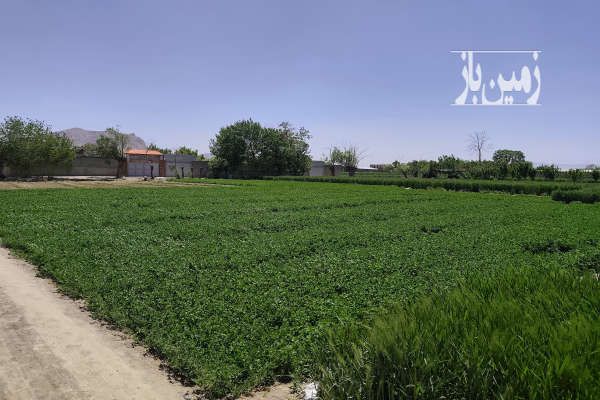 فروش زمین خوراسگان مناسب باغ کارگاه ۵۰۰ متر-4