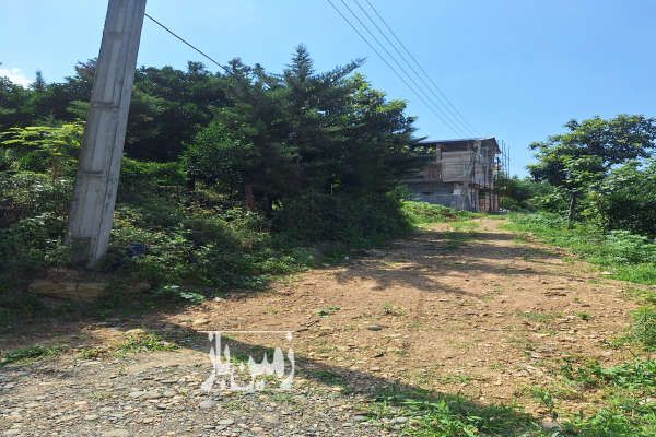 فروش ۷۰۰ متر زمین در روستای حاتم سرای تنکابن-4
