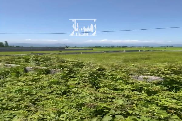 زمین مسکونی واقع در روستای الکام لتوم شهرپره سر ۴۵۰ متر-1