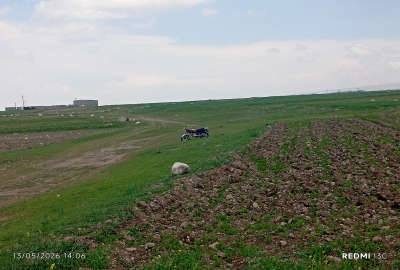 یک قطعه زمین در شهر مشگین شهر روستای احمدآباد ۶۰۰۰ متر