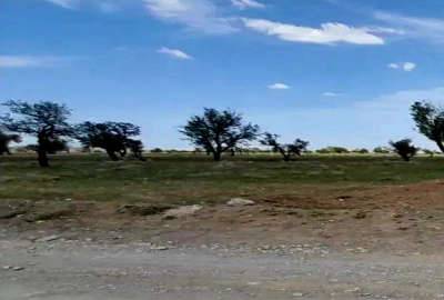 زمین فروشی در روستای توریستی سرکندیزج ۱۶۶۵ متر