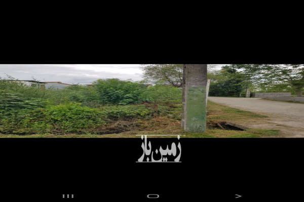 فروش زمین در مازندران شیرود ۲۵۰ متر-2