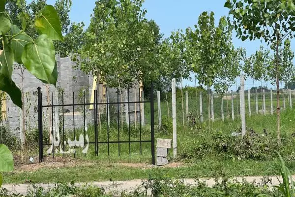 فروش ۲۵۰۰ متر زمین باغی روستای کردخیل ساحلی - تصویر 2