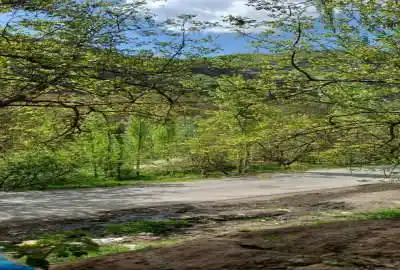 زمین یونجه در روستای بایقوت ۹۰۰ متر
