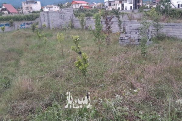 باغ ۷۰۰ متری دارای ۶۰ نهال آمل امامزاده عبدالله ورامده-2