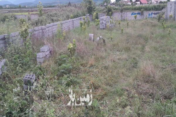 باغ ۷۰۰ متری دارای ۶۰ نهال آمل امامزاده عبدالله ورامده-3