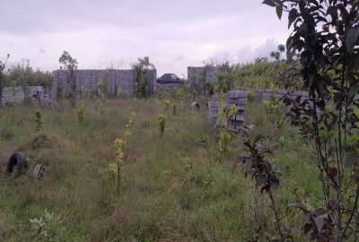 باغ ۷۰۰ متری دارای ۶۰ نهال آمل امامزاده عبدالله ورامده