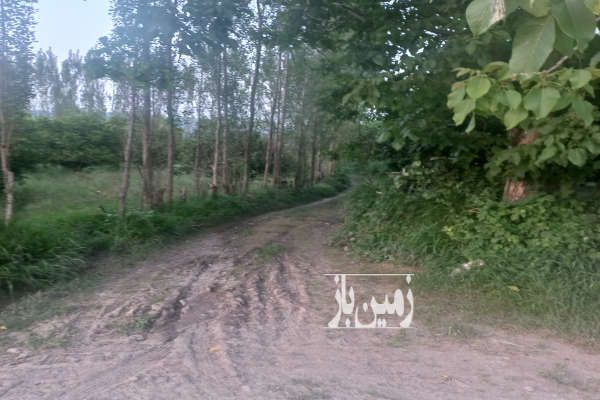 فروش باغ مرکبات شیرگاه جاده نظامی روستای کتی لته ۱۰۳۰ متر-4