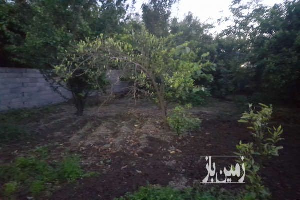 فروش زمین خانه سرا قائمشهر رکابدارکلا ۲۰۰ متر-4