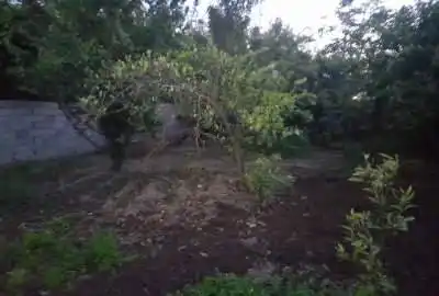فروش زمین خانه سرا قائمشهر رکابدارکلا ۲۰۰ متر