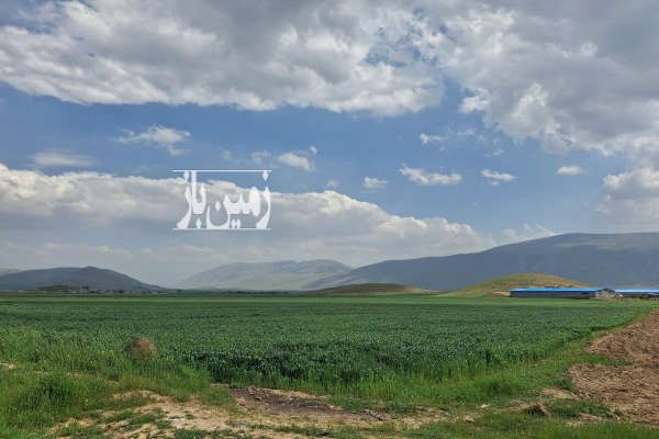 زمین کشاورزی ۸ هکتار جاده بیستون سنقر روستای شیر خان-1
