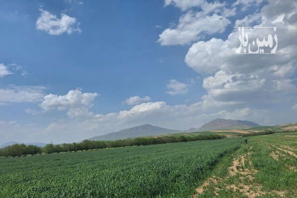 زمین کشاورزی ۸ هکتار جاده بیستون سنقر روستای شیر خان-2